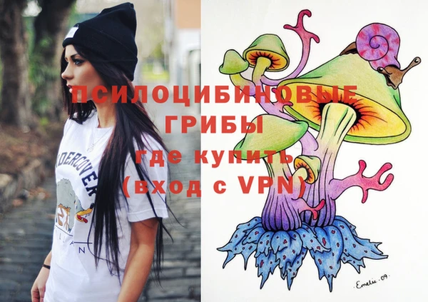 apvp Семилуки