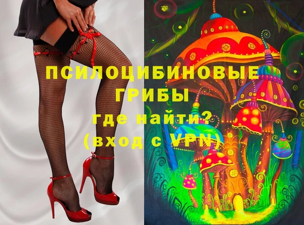 гидра Армянск