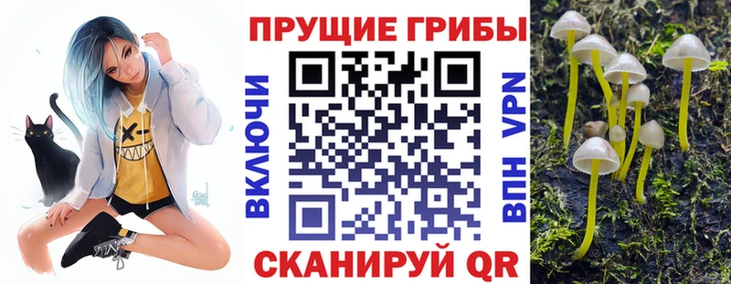 нарко площадка состав  Электрогорск  Галлюциногенные грибы мухоморы 