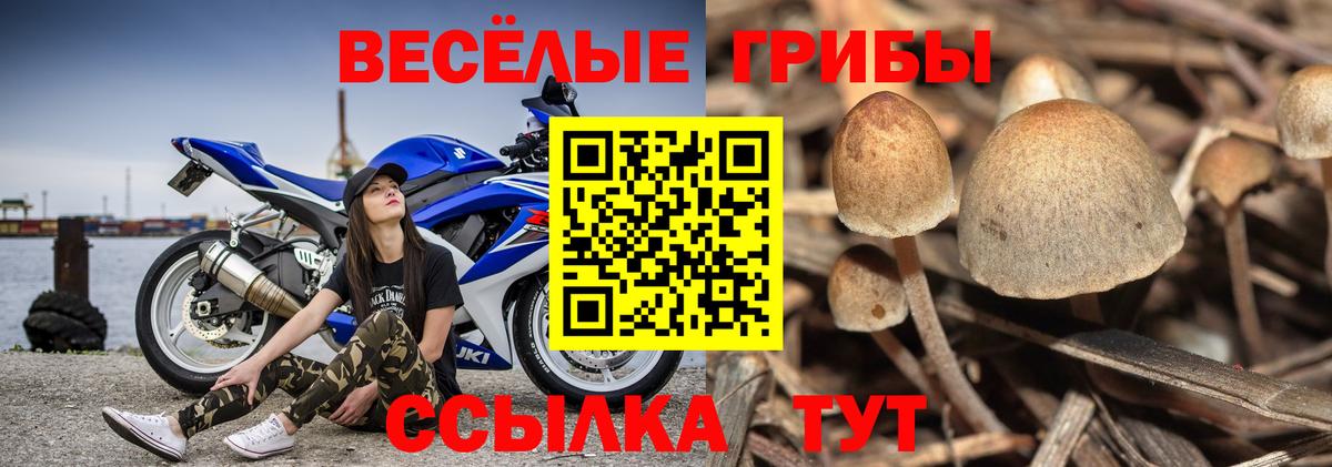 Псилоцибиновые грибы мухоморы  Вход с VPN  Электрогорск 